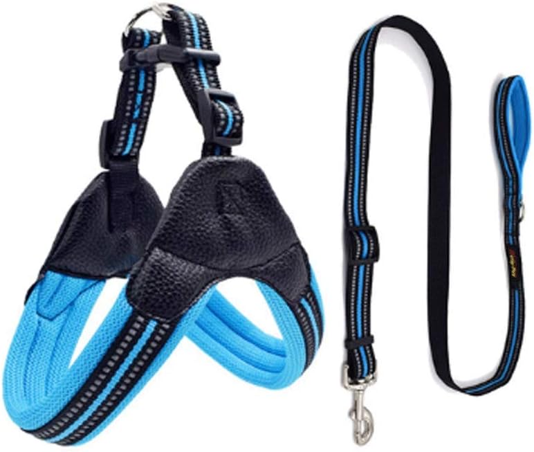 AQA ［アクア］150 黒/青 スキンフルスーツ キッズ ジュニア 海 AQA